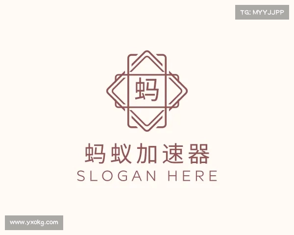 知道蚂蚁加速器